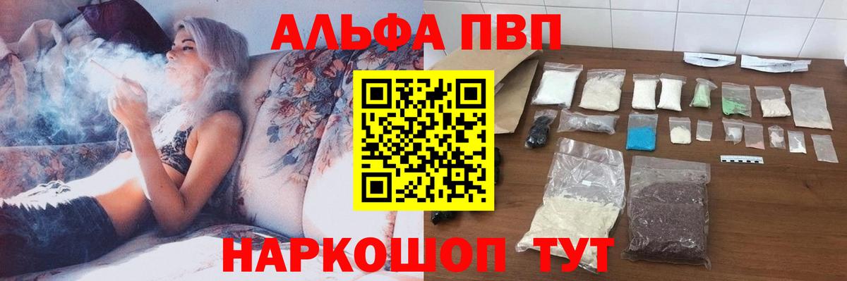 Альфа ПВП СК КРИС Шебекино